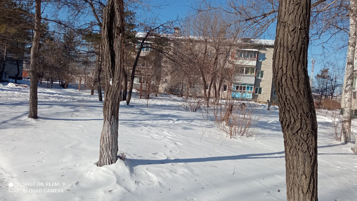 В этом году у нас снег лежит уже довольно долго. Что конечно и радует и немного огорчает, огорчает, что еще до конца не расчищен. А в остальном только радует.
