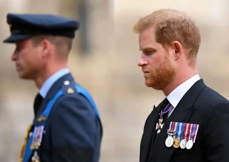    Принцы Уильям и Гарри подрались из-за Меган Маркл