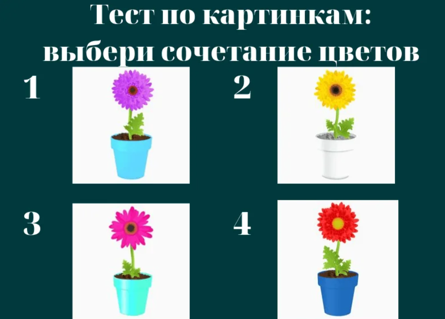 Цветок это выберите ответ. Тест по картинке. Тест по картинке выбери. Тест на выбор картинки. Психологический тест выбери картинку.