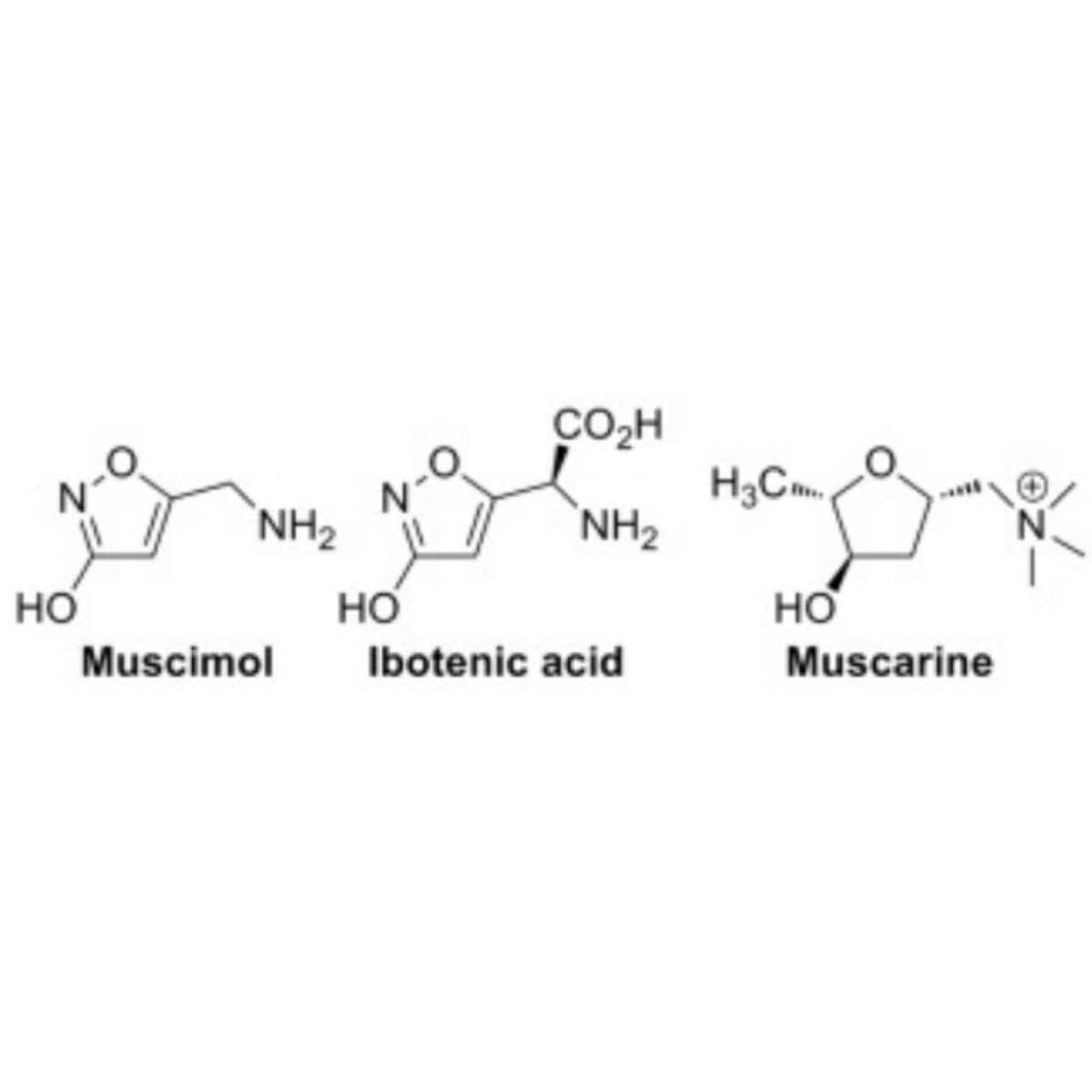 Формулы основных токсинов Красного мухомора