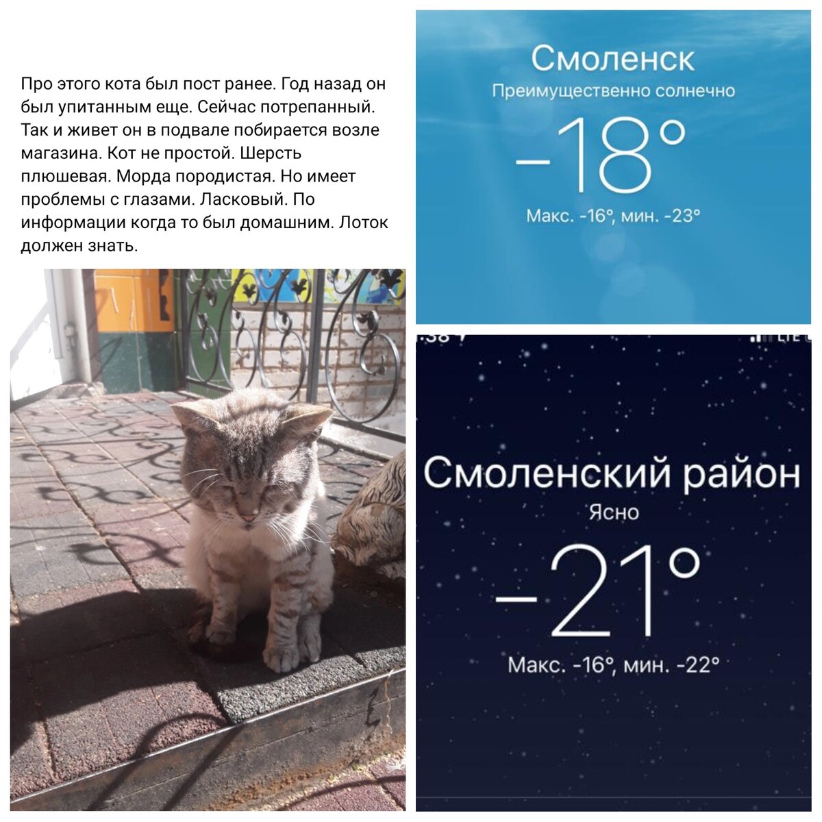 Вот так обнаружила его в интернете.

