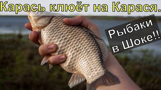 За этой прикормкой карась приплывает со всего водоёма Уловистая прикормка на карася своими руками