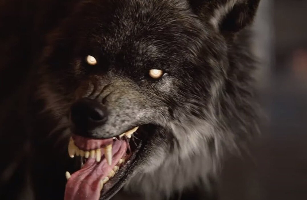 картинка из просторов интернета.