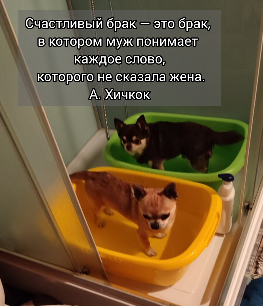 Ероша и Каспер