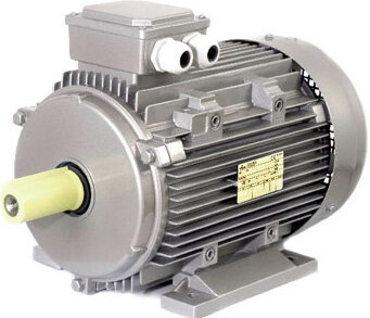 Электродвигатель собственной персоной