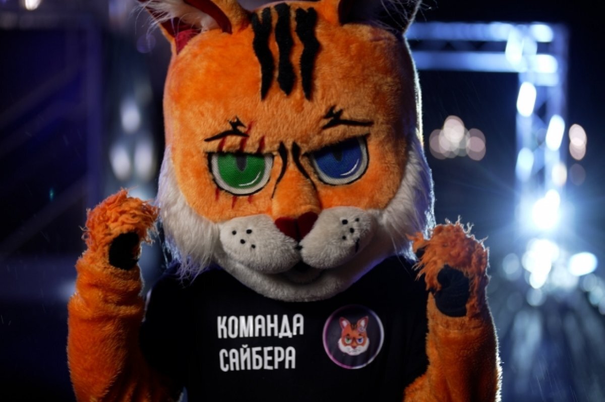    Четыре лапы и спорт. Иркутянин участвовал в шоу «Суперниндзя» в образе кота