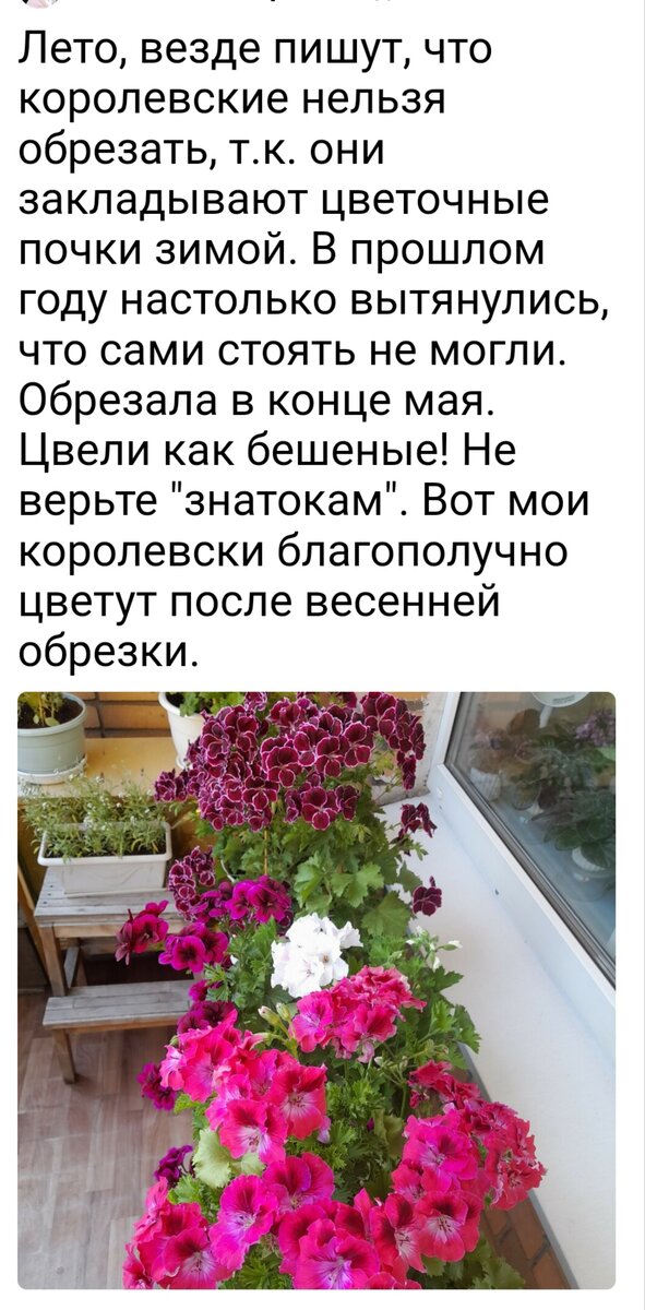 Комментарий, оставленный подписчицей канала под никнеймом Лето. Фото впечатляют, не правда ли?