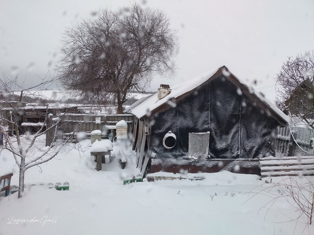 Сквозь заляпанное снегом окно - побелевшая стена летней кухни