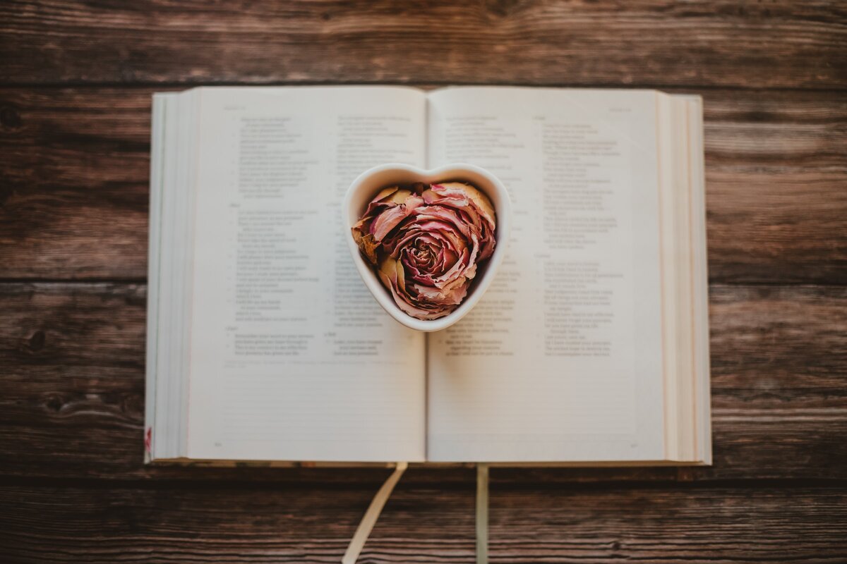 Картинка с бесплатного фотостока https://unsplash.com, автор Sixteen Miles Out