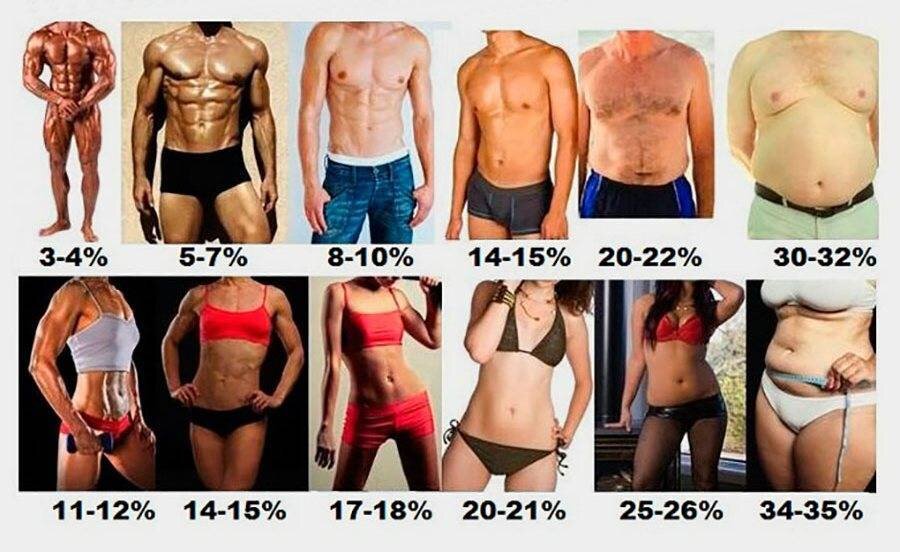 Таблица чисто для примера и ваша фигура может отличаться при недостаточно развитой мускулатуре и наоборот.