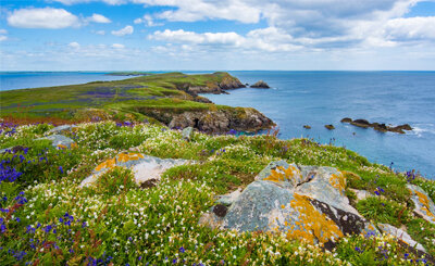 Свободное фото с unsplash.com