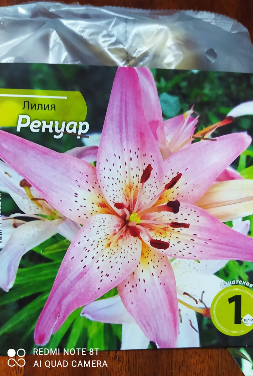 Лидия Ренуар