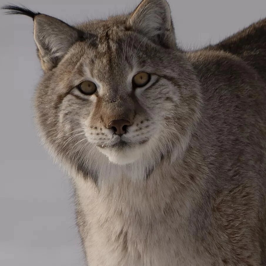 Фото Анны Елисеевой 