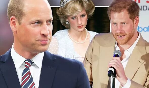 фото из сети.