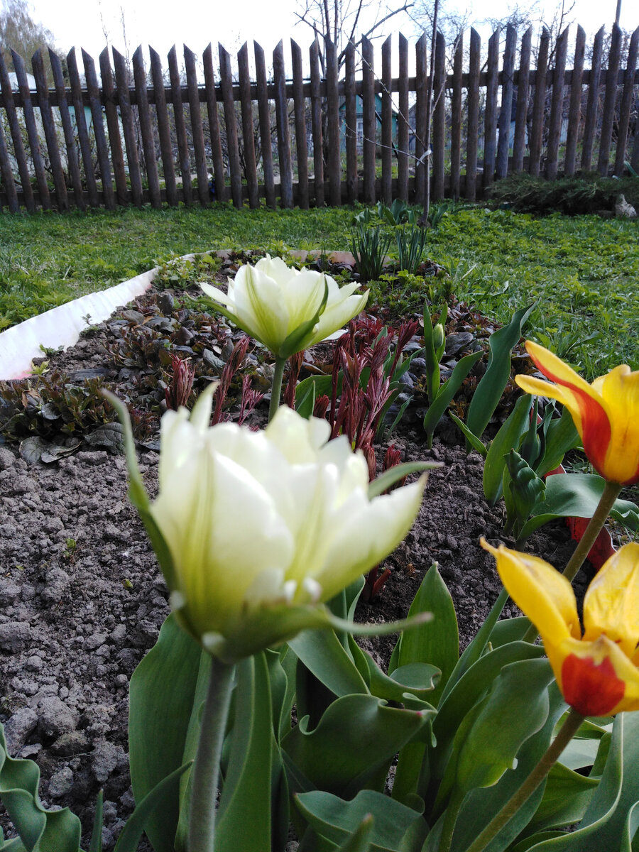 На заднем плане вдоль забора свободное место