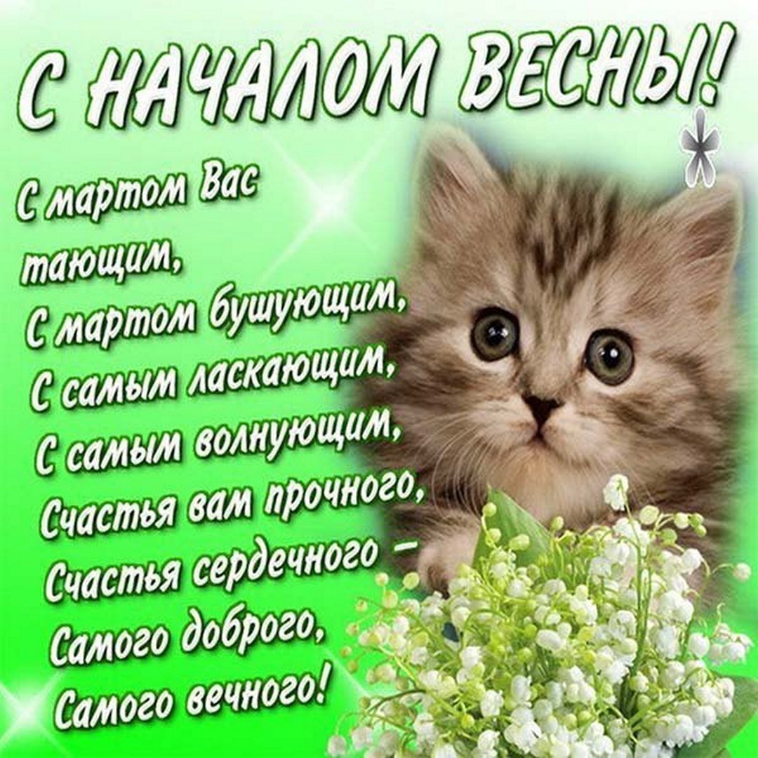 день весны и кошек