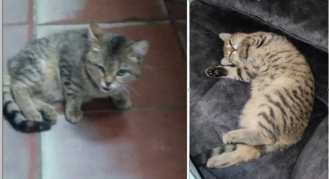 Тогда в Нефтекамске и сейчас в Перми