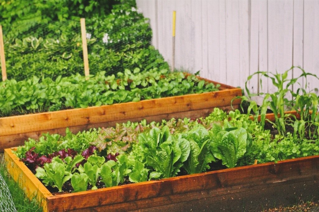 Фотография из открытых источников 