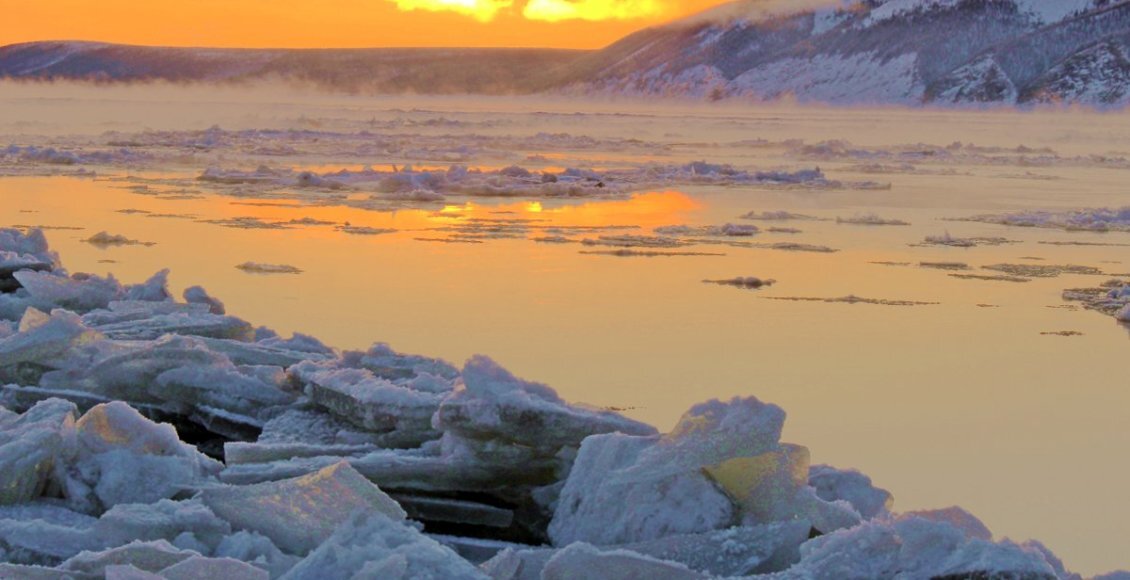    Фото: из открытых источников