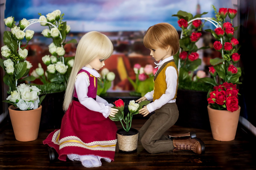 День мечтания о розовых кустах. Взято из свободного доступа