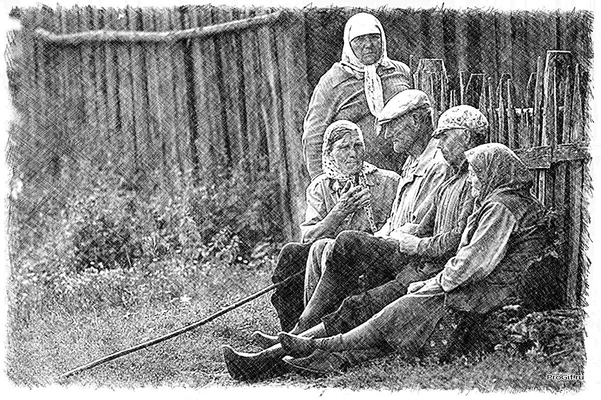 Фото из открытого источника