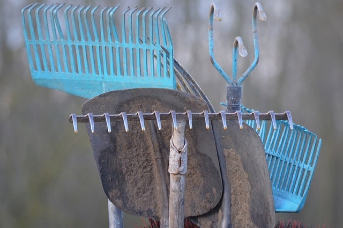    В Тамбове стартовал месячник по благоустройству