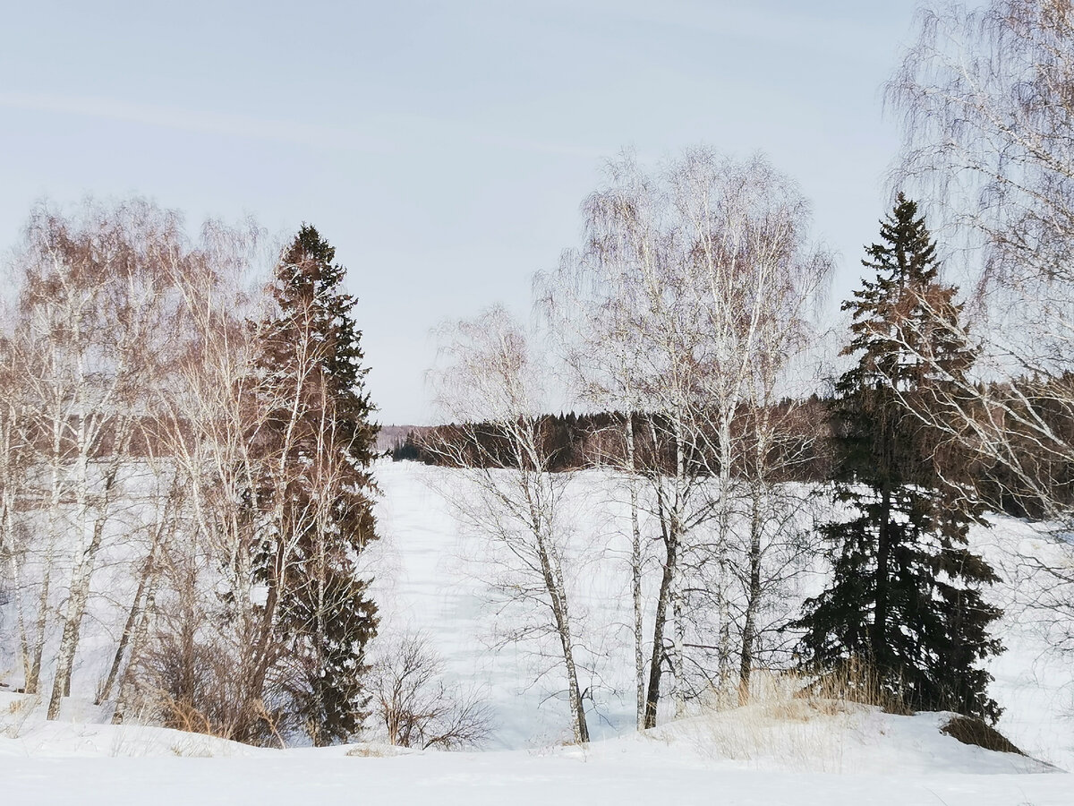 Фото автора канала 