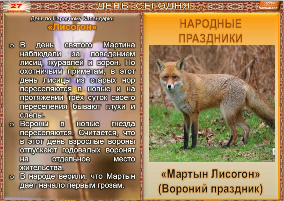 Славянский гороскоп животных. Чертог лисы покровитель марена. Славянский календарь лиса. Крадущийся лис по славянскому гороскопу. Славянский гороскоп крадущийся лис.