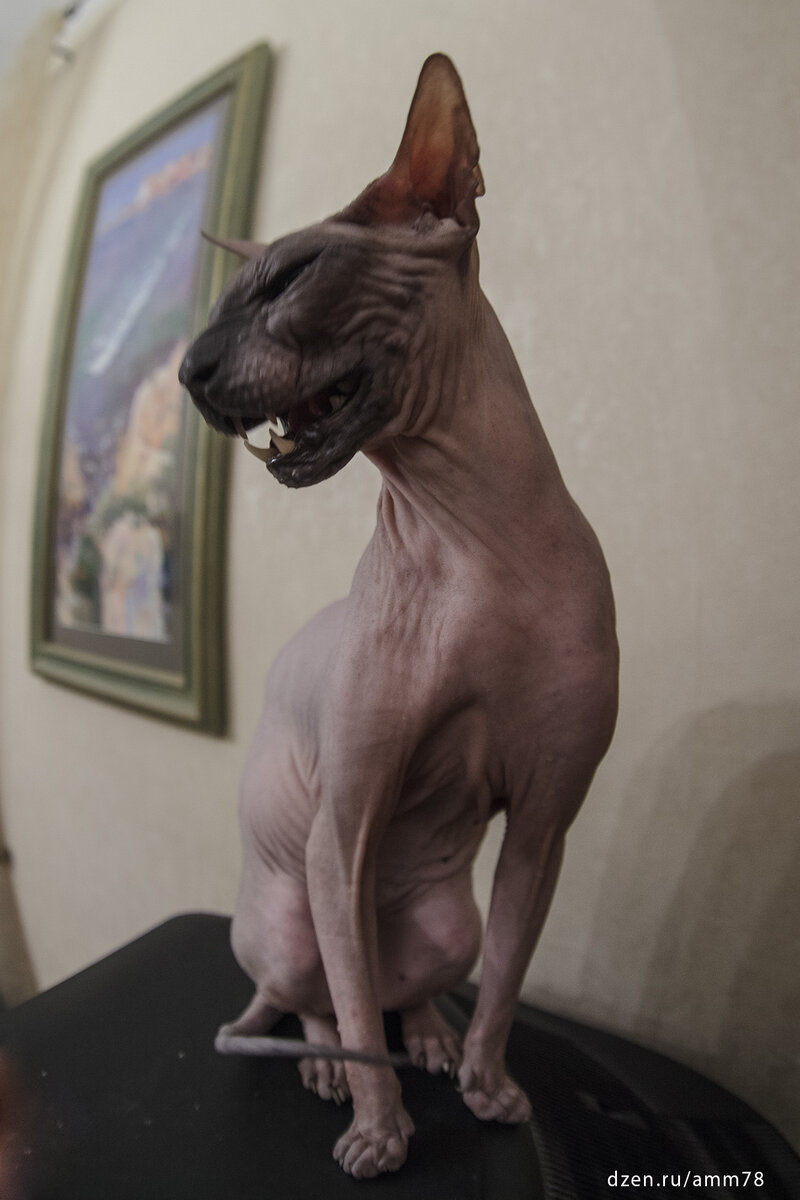 Canon EOS 5D Mark II; Зенитар-М 16/2.8; 1/50; ISO 1600; +1EV