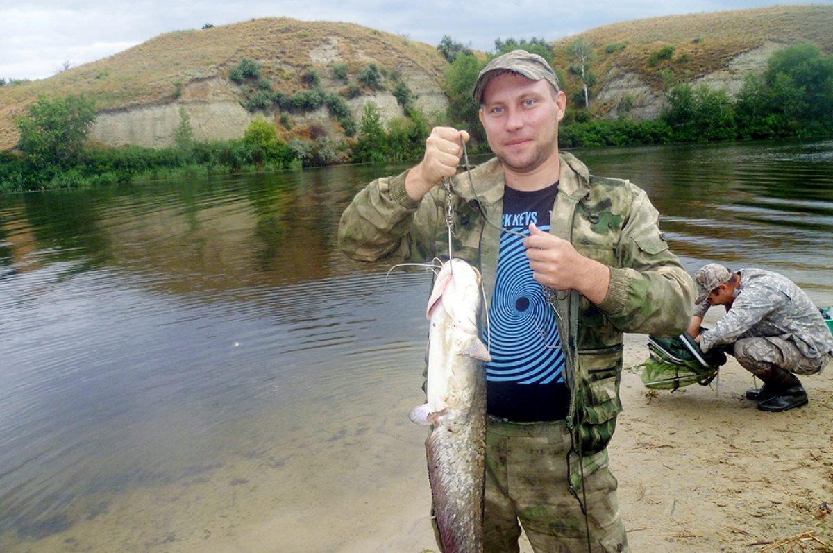    Рыбацкие форумы и паблики изобилуют сообщениями о завидных уловах.