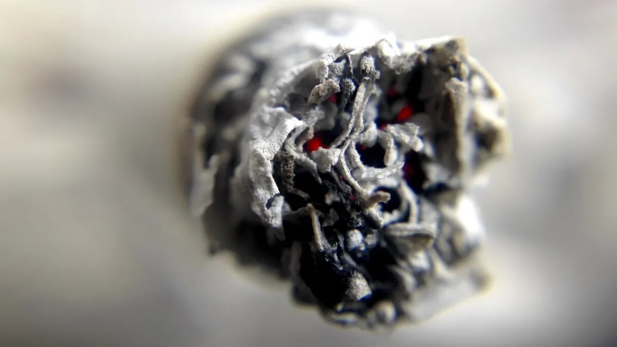 Фото: pxhere.com