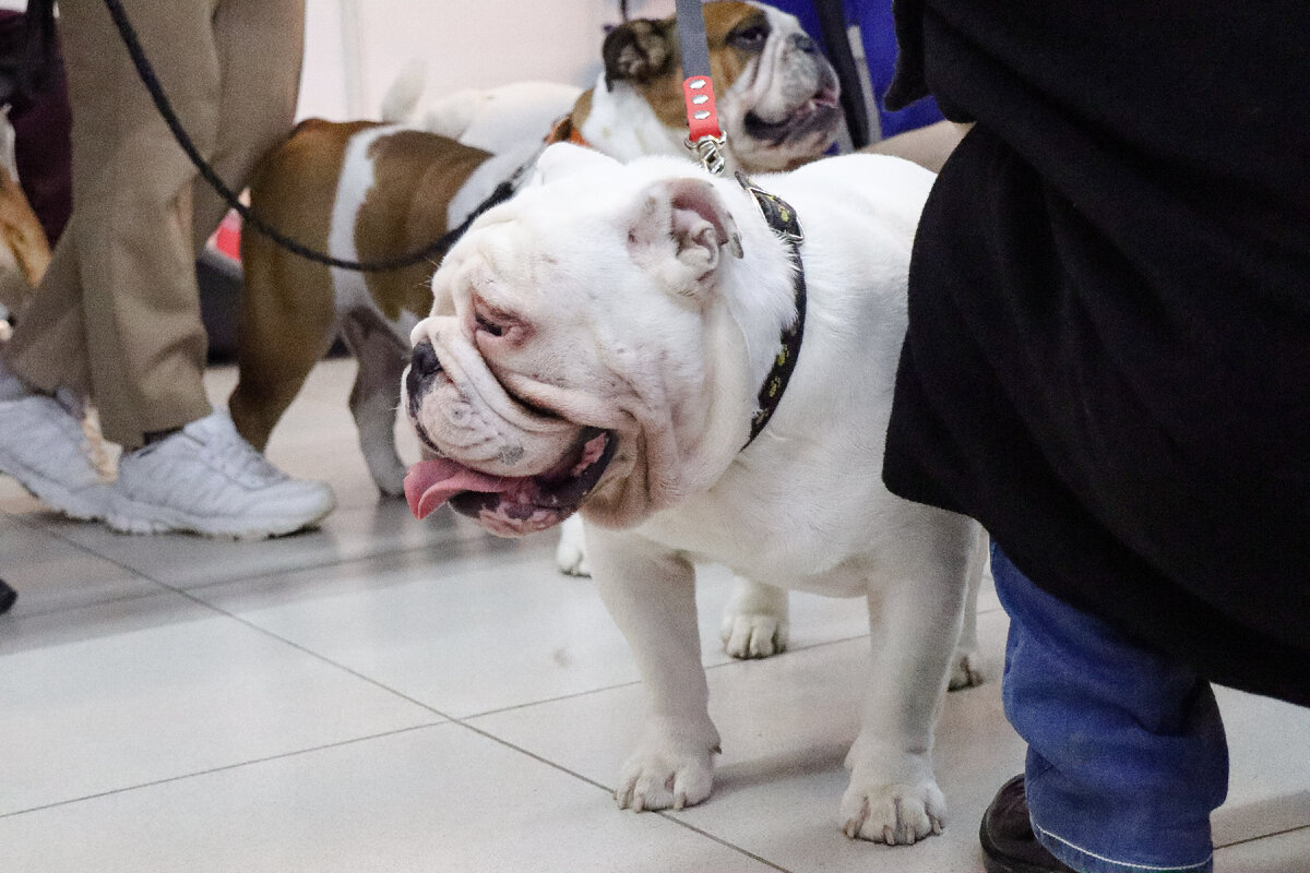 Фото: Елена Майорова / Globallookpress