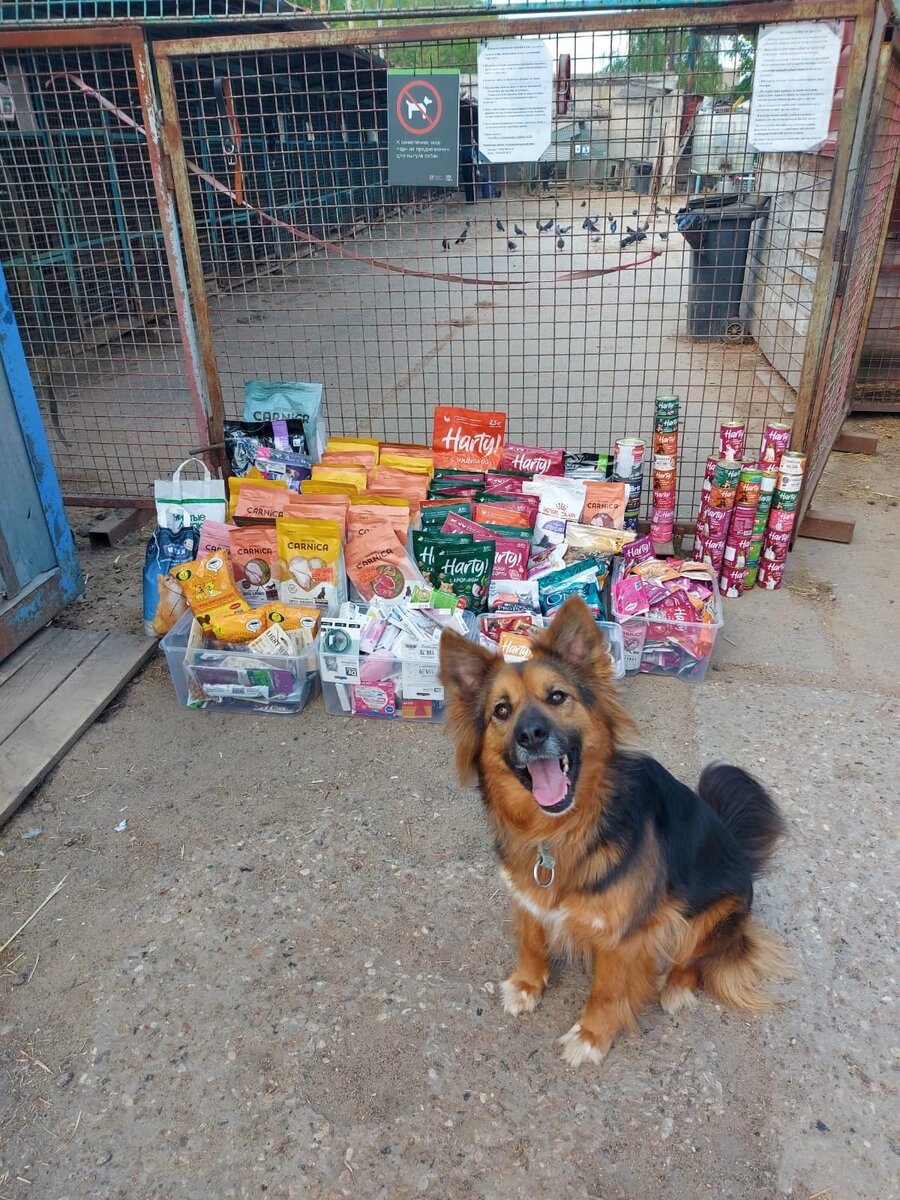 Так наша малышка Фея 🧚‍♀️ радуется подаркам для приюта 😍