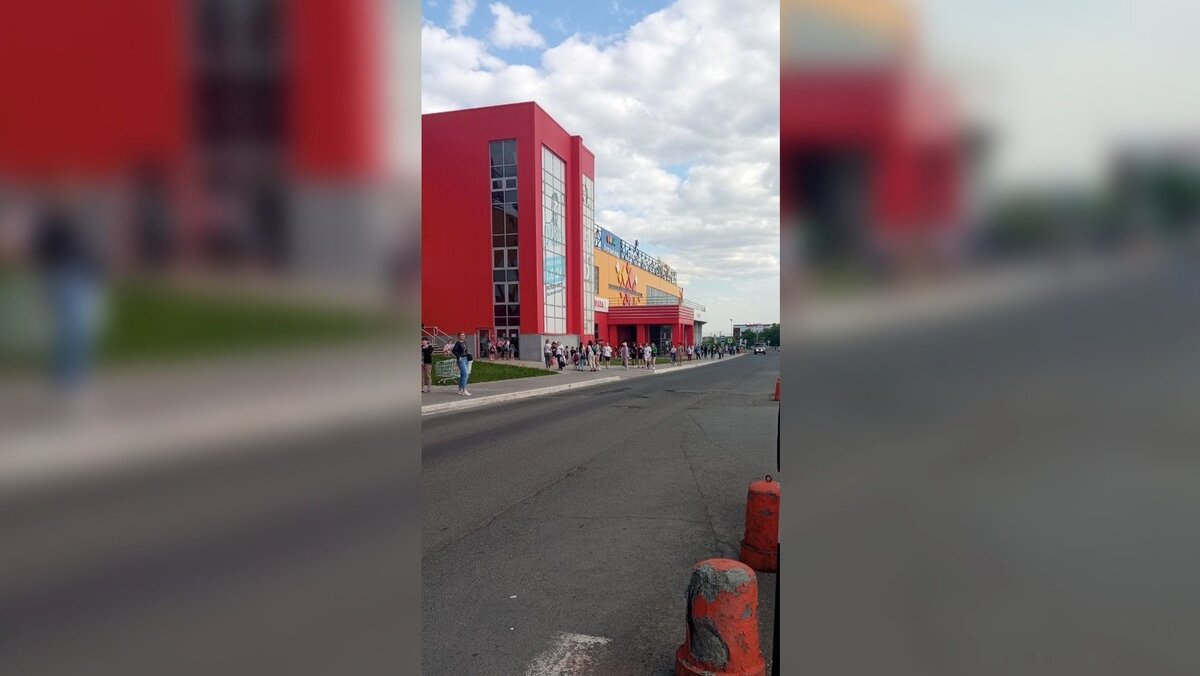 Армада жуки