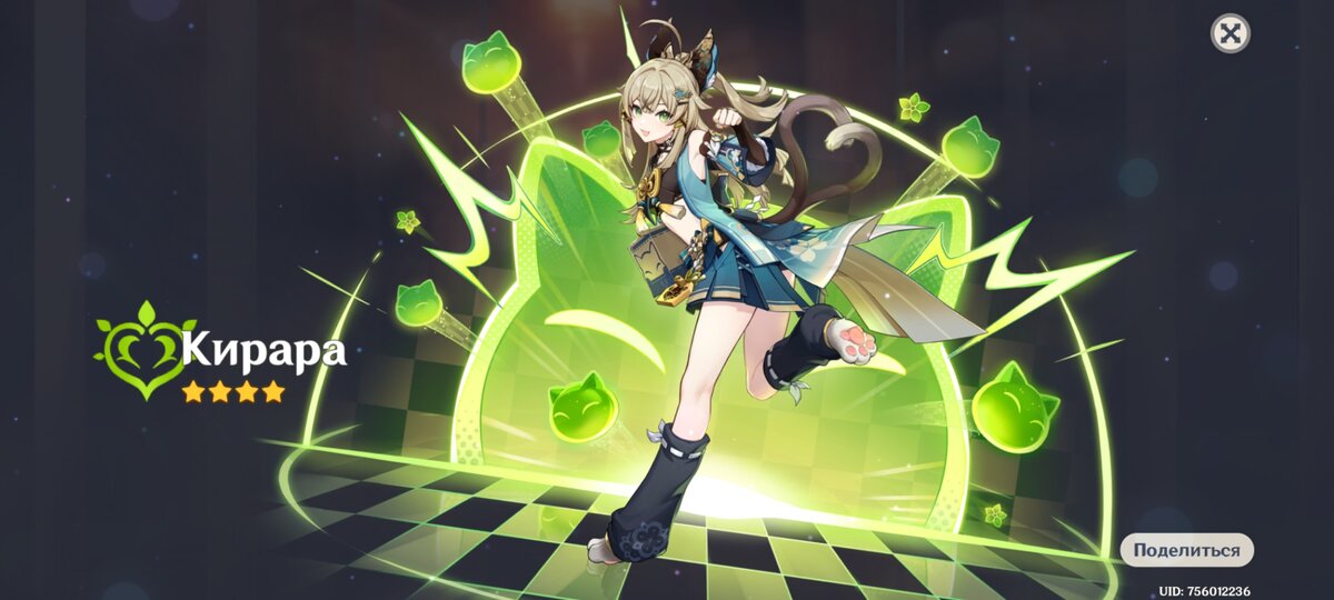 Наконец-то кошечка дома! 