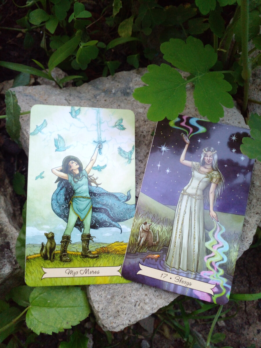 Фото автора