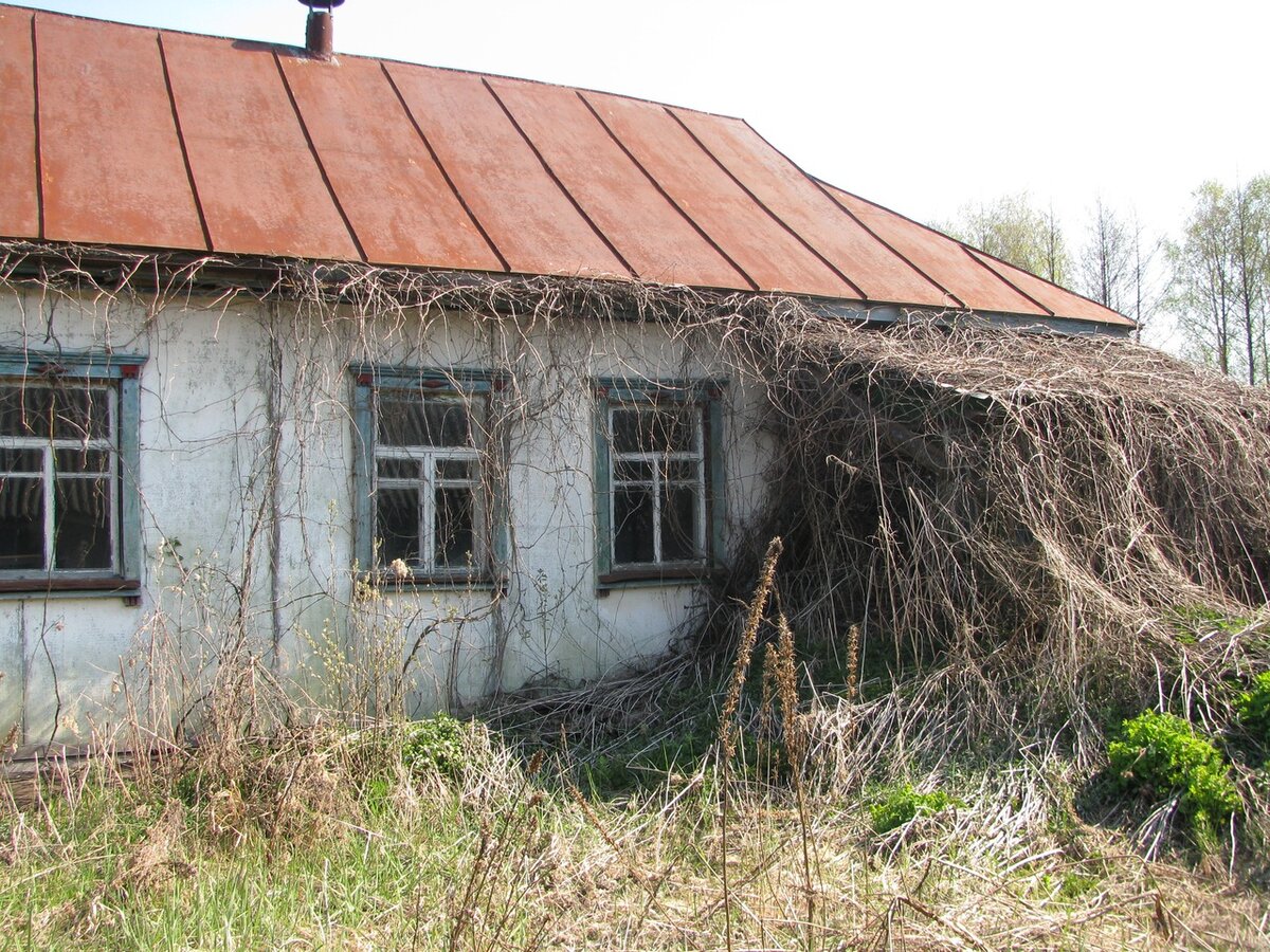 Зашли в заброшенный дом в Чернобыле, чтобы проверить 