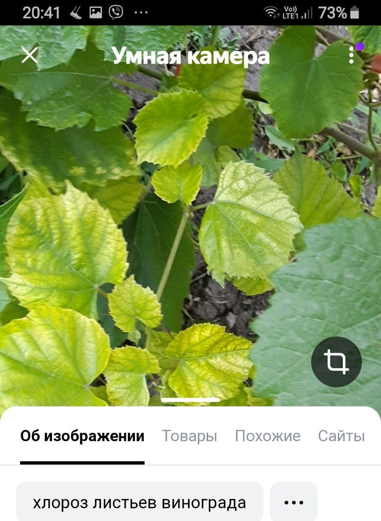 Скрин с телефона