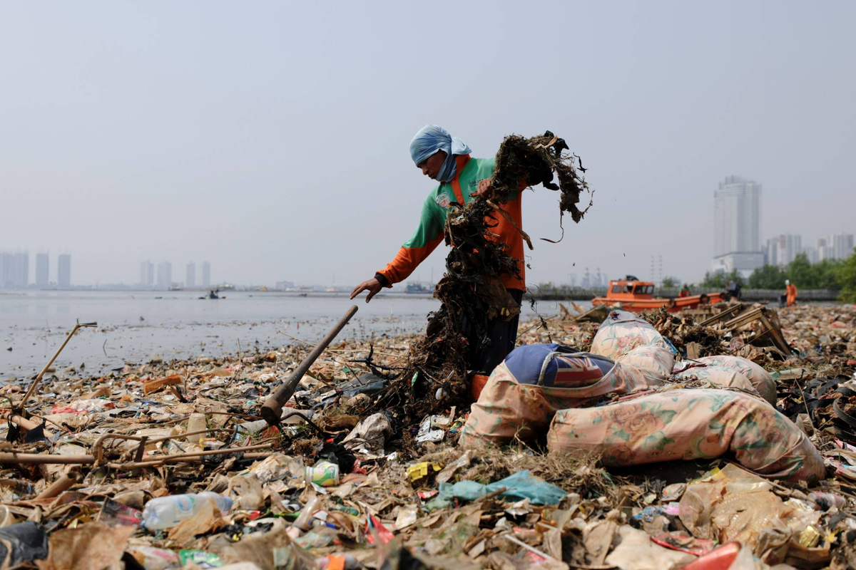 Муниципальный работник собирает мусор, в основном пластик и другие бытовые отходы, вдоль береговой линии в Джакарте в 2021 году. | РЕЙТЕР