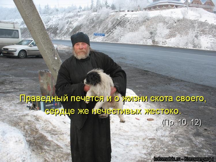 Кто не печется о домашних своих