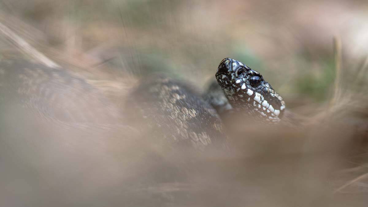    Фото: shutterstock