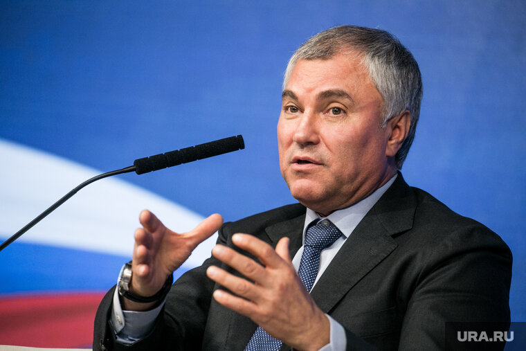    Семья является основой общества, заявил Вячеслав Володин