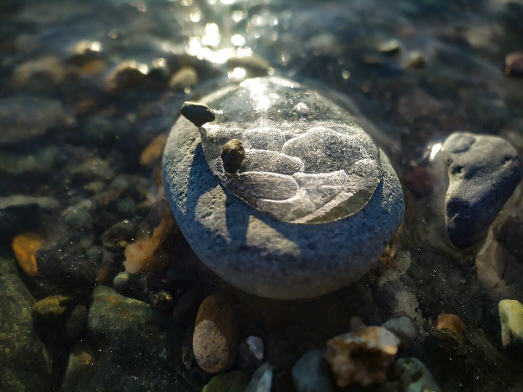 Телецкое озеро под водой