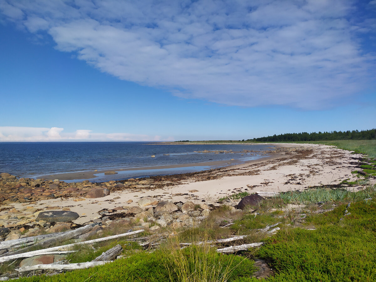 Остров Олений белое море