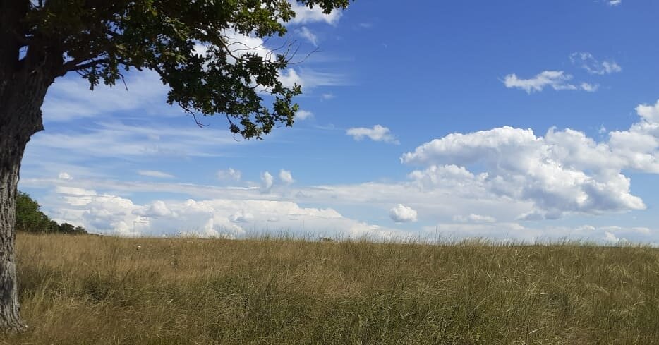фото из личного архива: лето, поездка в Башкортостан