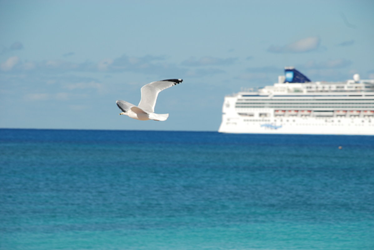 яндекс.картинки