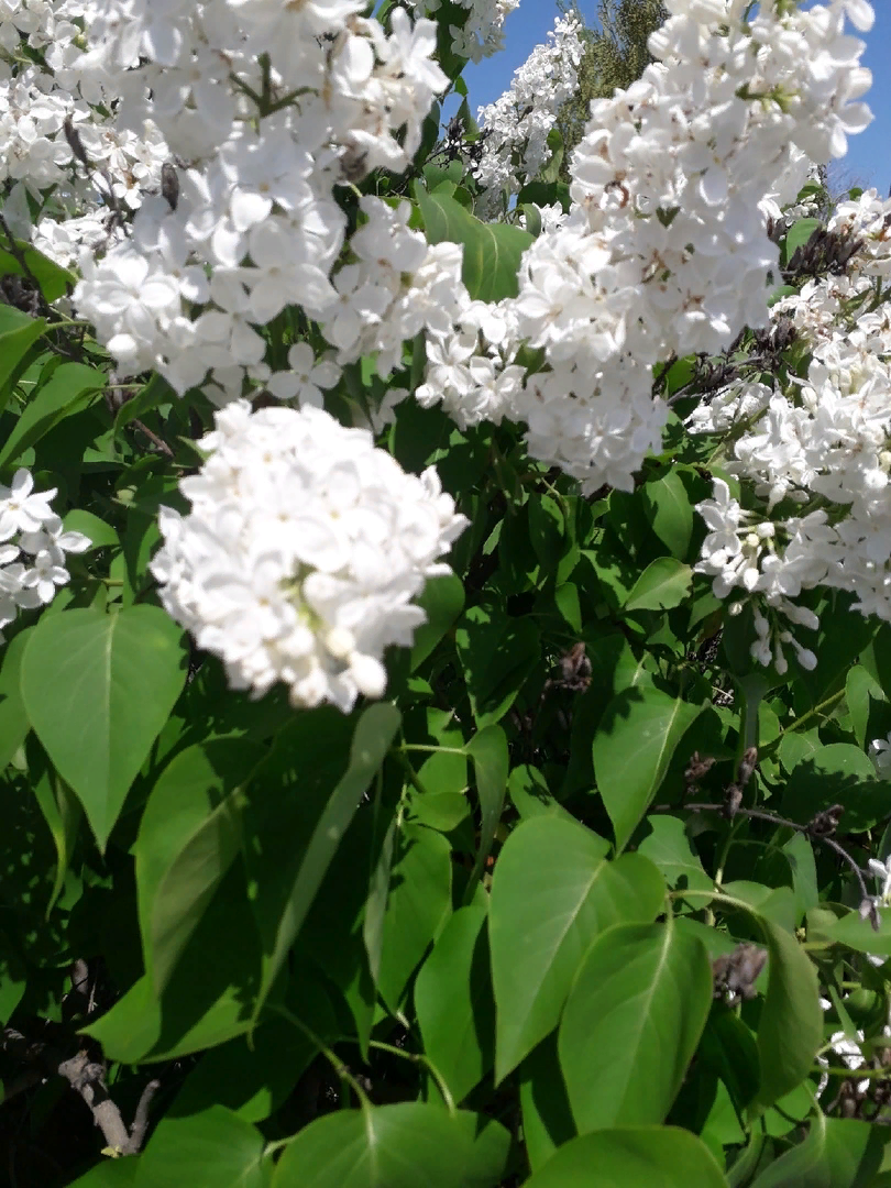 Все фото в статье мои