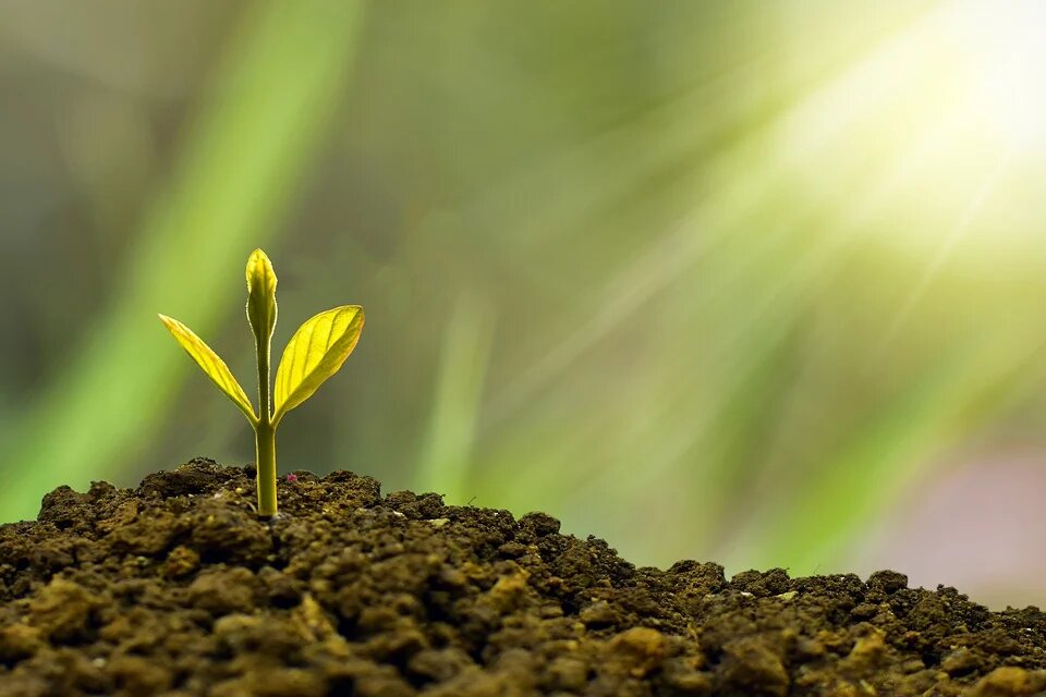 Картинка взята с https://pixabay.com/photos/investment-concept-business-finance-5241253/