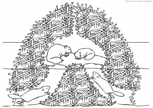 Домик бобра с входом под водой