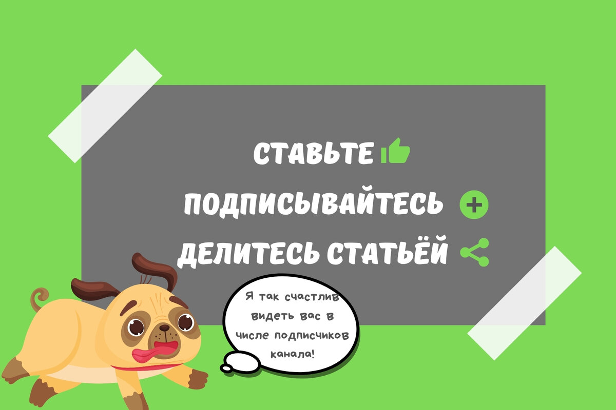 Как гарантированно избавиться от навязчивого человека: 12 советов | По  чуть-чуть о разном | Дзен